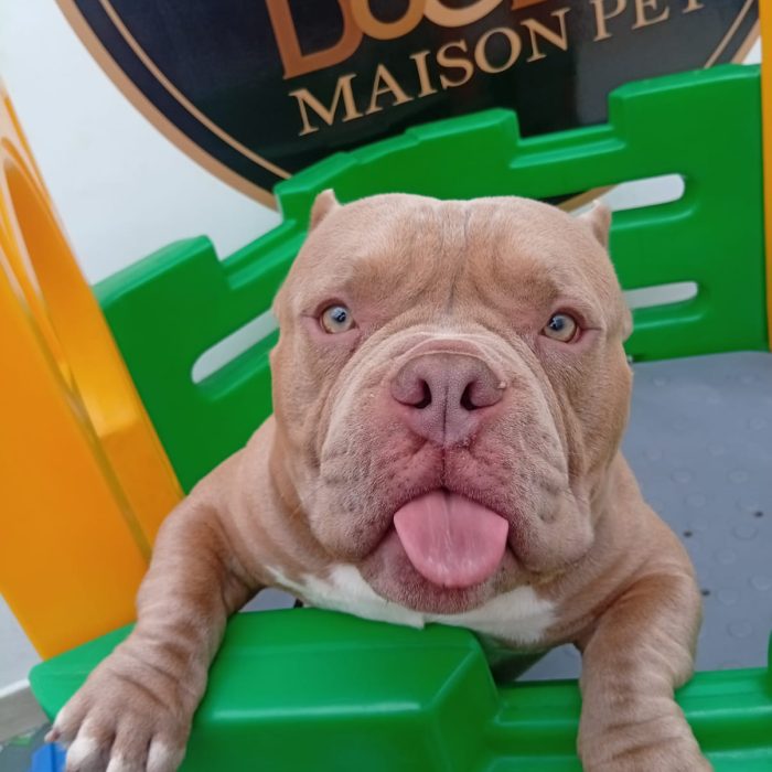 06202357-82a0-431d-b1e3-8cfb335a3ad3