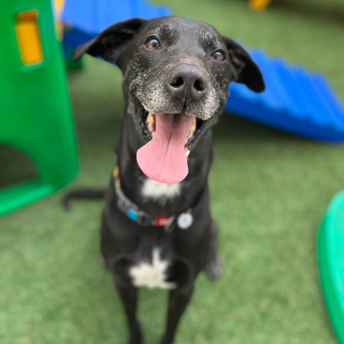 073a93d2-33c7-4cc5-be45-0f3373456ec5