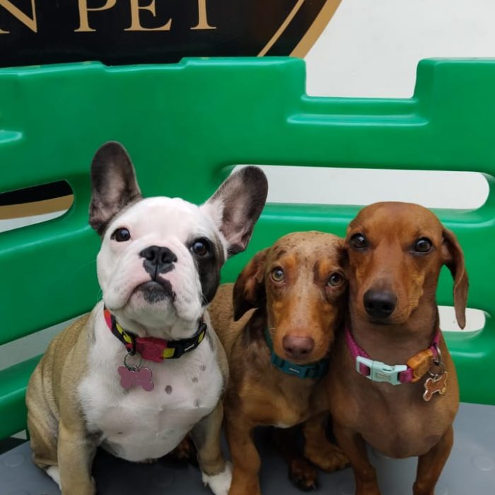 1359b785-b682-479f-9cd9-166942faa4d1