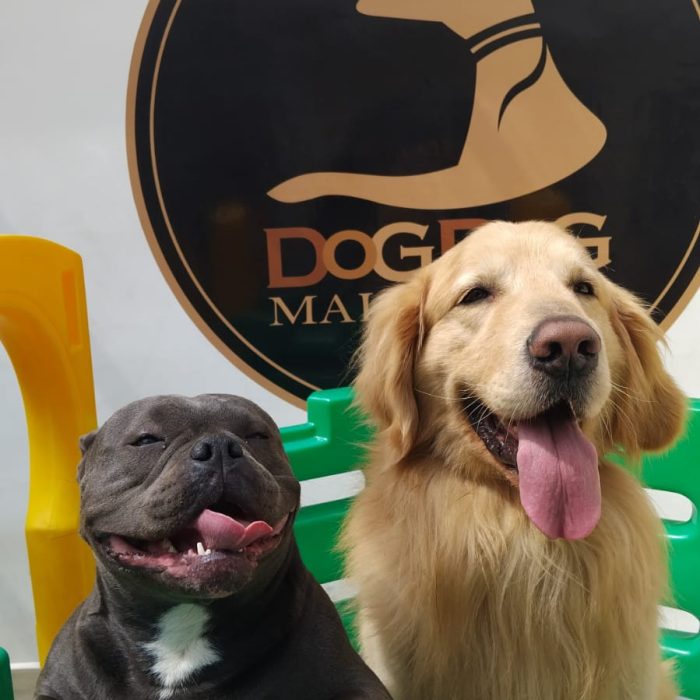 2525e273-81dd-45ac-a907-96f2567d2146