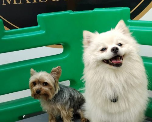 280b80f2-581a-413f-b903-15e82e08b315