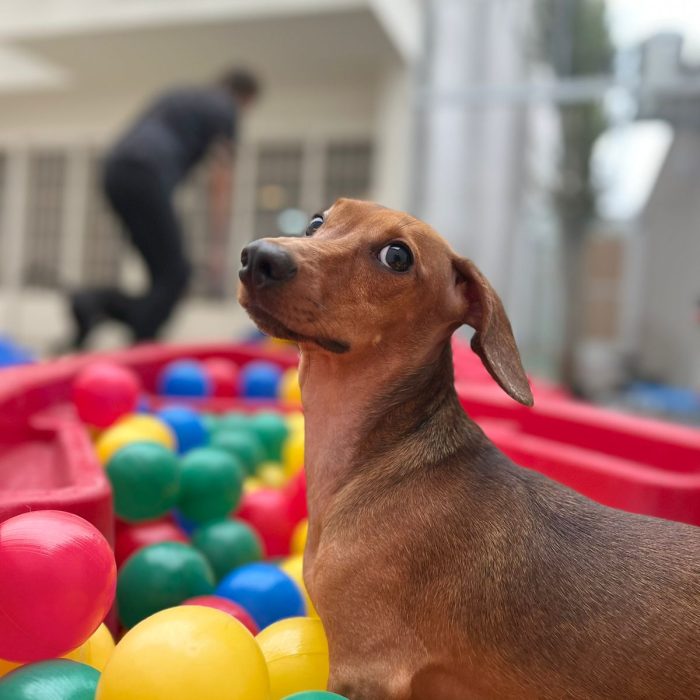 53408429-ef39-47dd-9333-a60dd81f376b