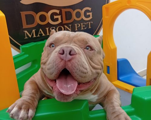 5cb11746-51cd-4f48-a089-c81c01fcf4cb