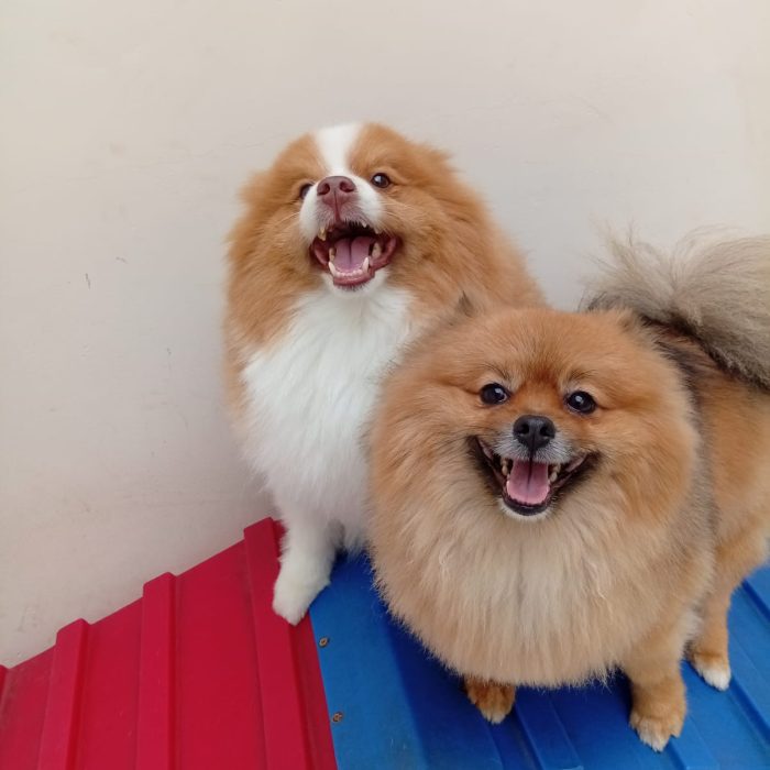 61fcefbf-47bf-4eb5-9cfd-7ad84e3bd2d7