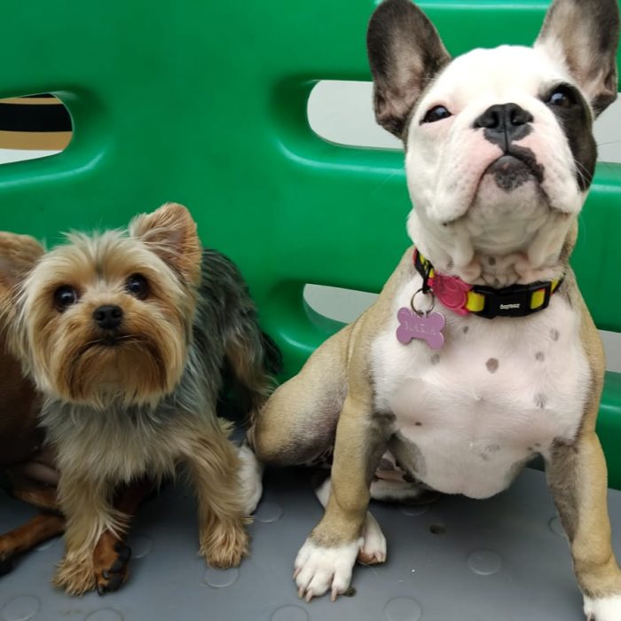 70b1f14e-c5d3-4942-9ff9-c8c24378e33f