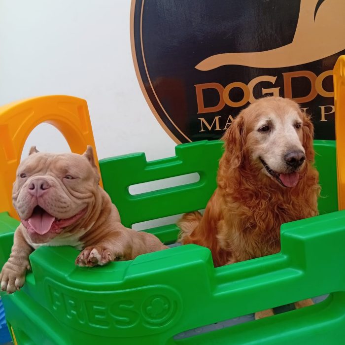 99080b61-6c98-462a-b5b7-ddba1a6ec5b9