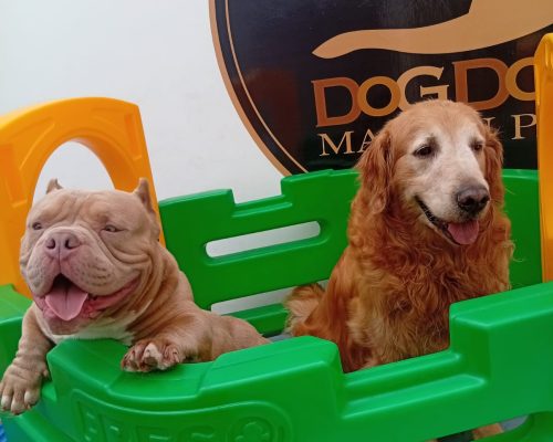 99080b61-6c98-462a-b5b7-ddba1a6ec5b9