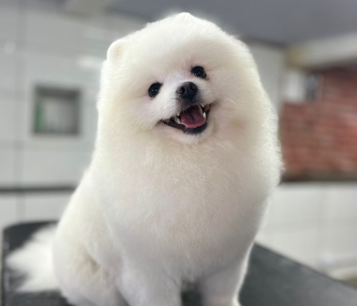 WhatsApp Image 2025-05-27 at 11.22.56