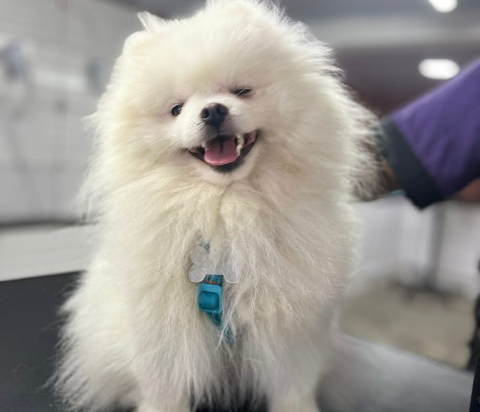 WhatsApp Image 2025-05-27 at 11.22.57