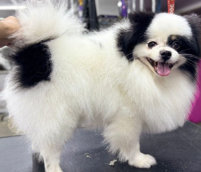 WhatsApp Image 2025-05-31 at 14.14.15