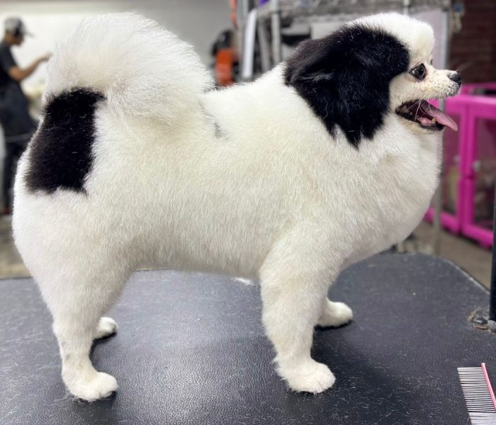 WhatsApp Image 2025-05-31 at 14.14.16 (2)