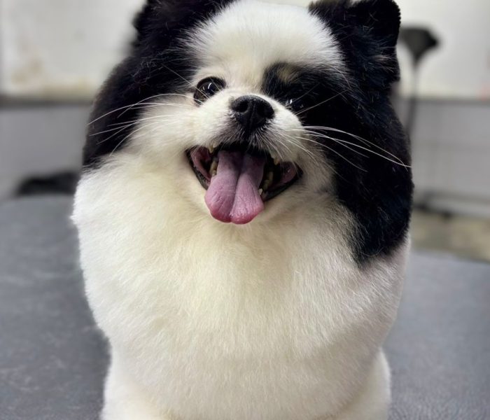 WhatsApp Image 2025-05-31 at 14.14.18 (1)