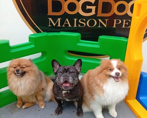 b4ffb85f-941d-431f-bdd0-8acbcd650913