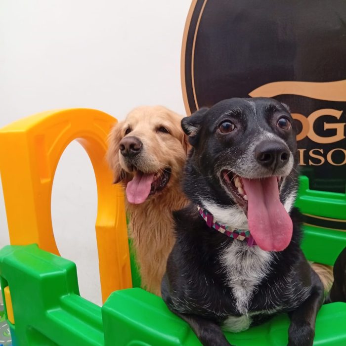 c81899b6-9751-44f2-ad63-94a02fc6f35e