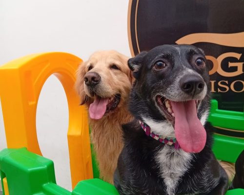 c81899b6-9751-44f2-ad63-94a02fc6f35e