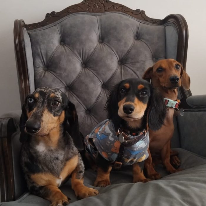 d80cb638-196c-4f88-a99b-83eaa865c3ab