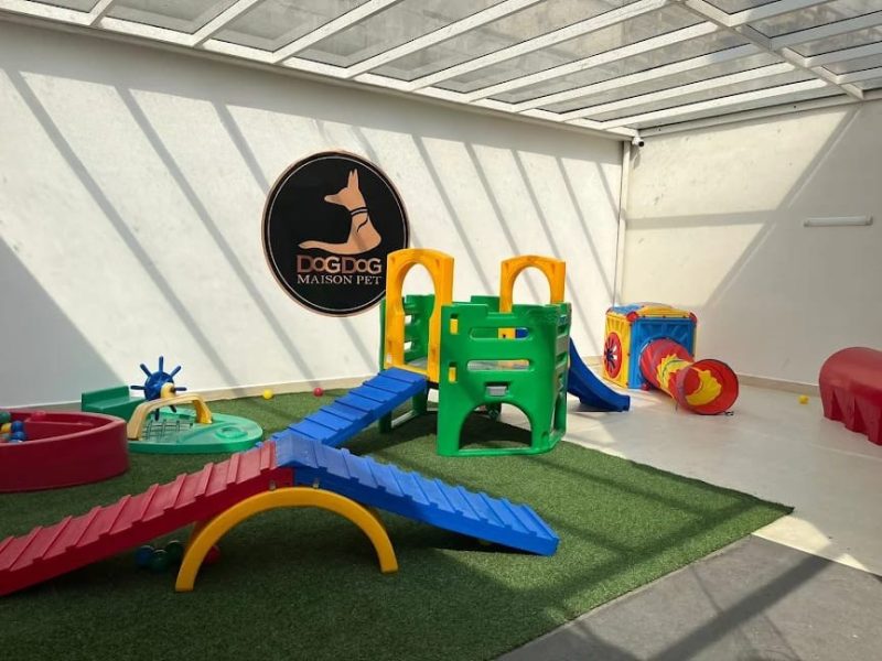 e107b421-52e8-4394-820e-da1b9314681d